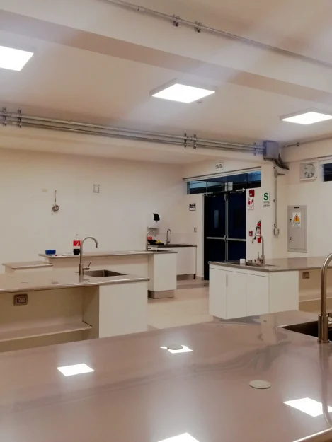 Remodelación de laboratorios de química y biología en colegio Abraham Lincoln.