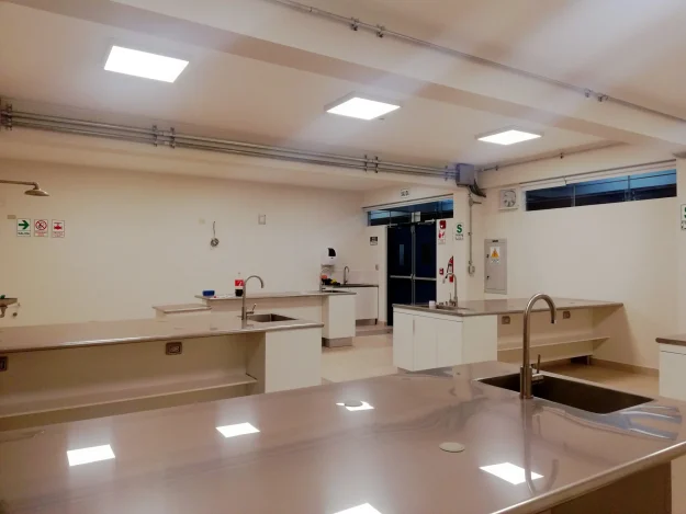 Remodelación de laboratorios de química y biología en colegio Abraham Lincoln.