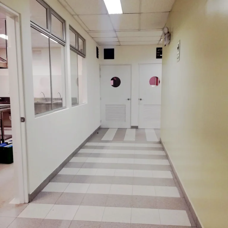 Gastronomía- Instituto SISE Santa Beatriz.